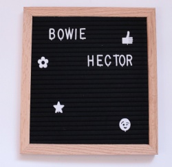 Wooden Felt Letter Board